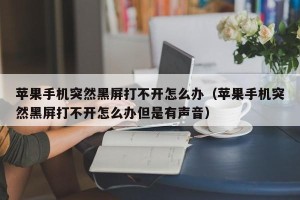 苹果手机突然黑屏打不开怎么办（苹果手机突然黑屏打不开怎么办但是有声音）