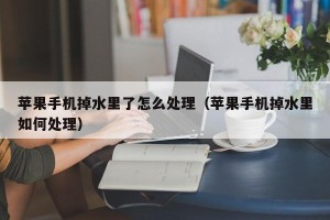 苹果手机掉水里了怎么处理（苹果手机掉水里如何处理）