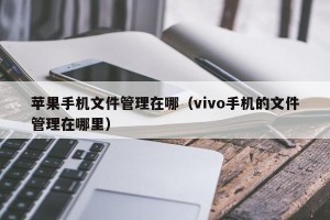 苹果手机文件管理在哪（vivo手机的文件管理在哪里）