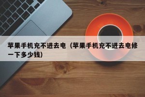 苹果手机充不进去电（苹果手机充不进去电修一下多少钱）