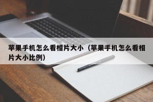 苹果手机怎么看相片大小（苹果手机怎么看相片大小比例）