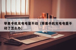 苹果手机充电电量不动（苹果手机充电电量不动了怎么办）