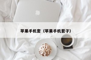 苹果手机套（苹果手机套子）