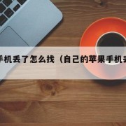 苹果手机丢了怎么找（自己的苹果手机丢了怎么找）