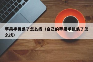 苹果手机丢了怎么找（自己的苹果手机丢了怎么找）