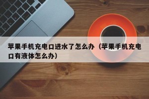 苹果手机充电口进水了怎么办（苹果手机充电口有液体怎么办）