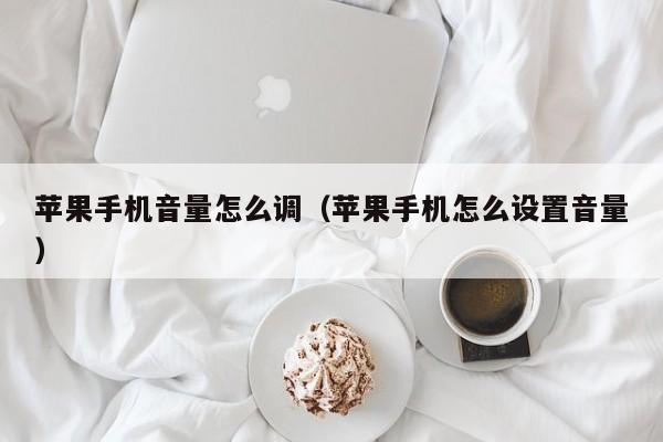 苹果手机音量怎么调(苹果手机怎么设置音量)