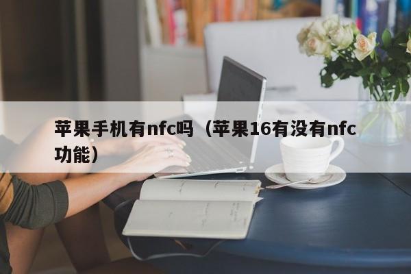 苹果手机有nfc吗(苹果16有没有nfc功能)