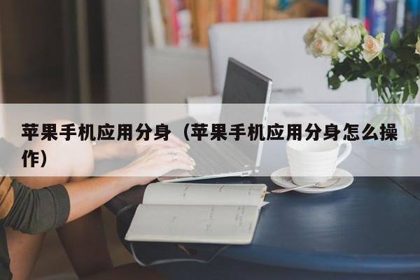 苹果手机应用分身(苹果手机应用分身怎么操作)