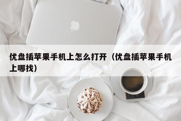 优盘插苹果手机上怎么打开(优盘插苹果手机上哪找)