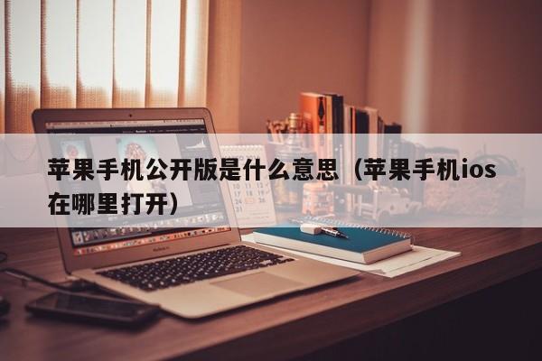 苹果手机公开版是什么意思(苹果手机ios在哪里打开)