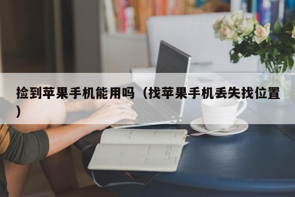 捡到苹果手机能用吗(找苹果手机丢失找位置)