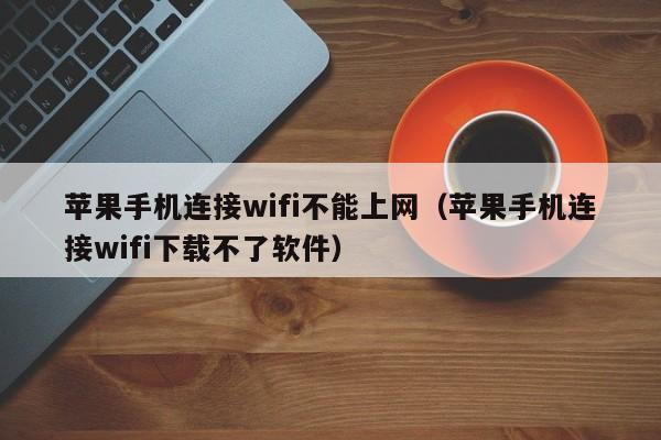 苹果手机连接wifi不能上网(苹果手机连接wifi下载不了软件)